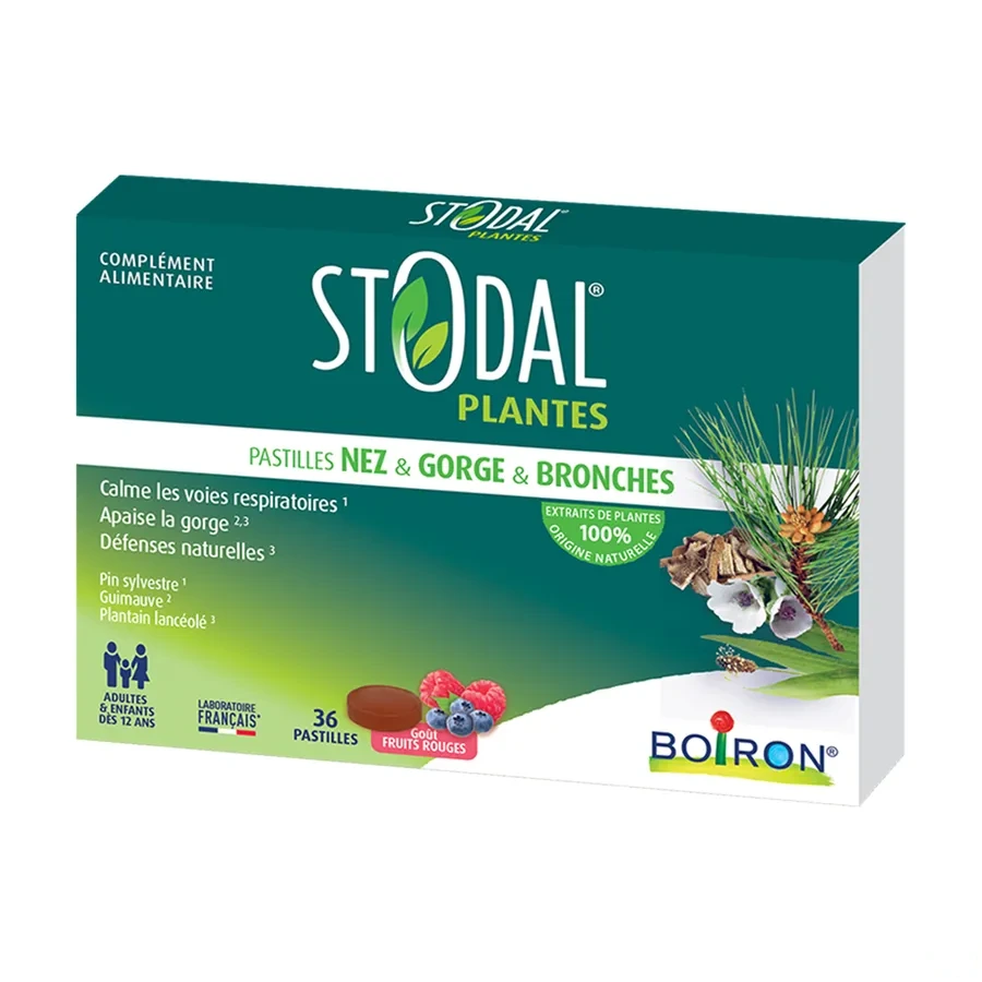 Stodal Plantes Nez Gorge Bronches