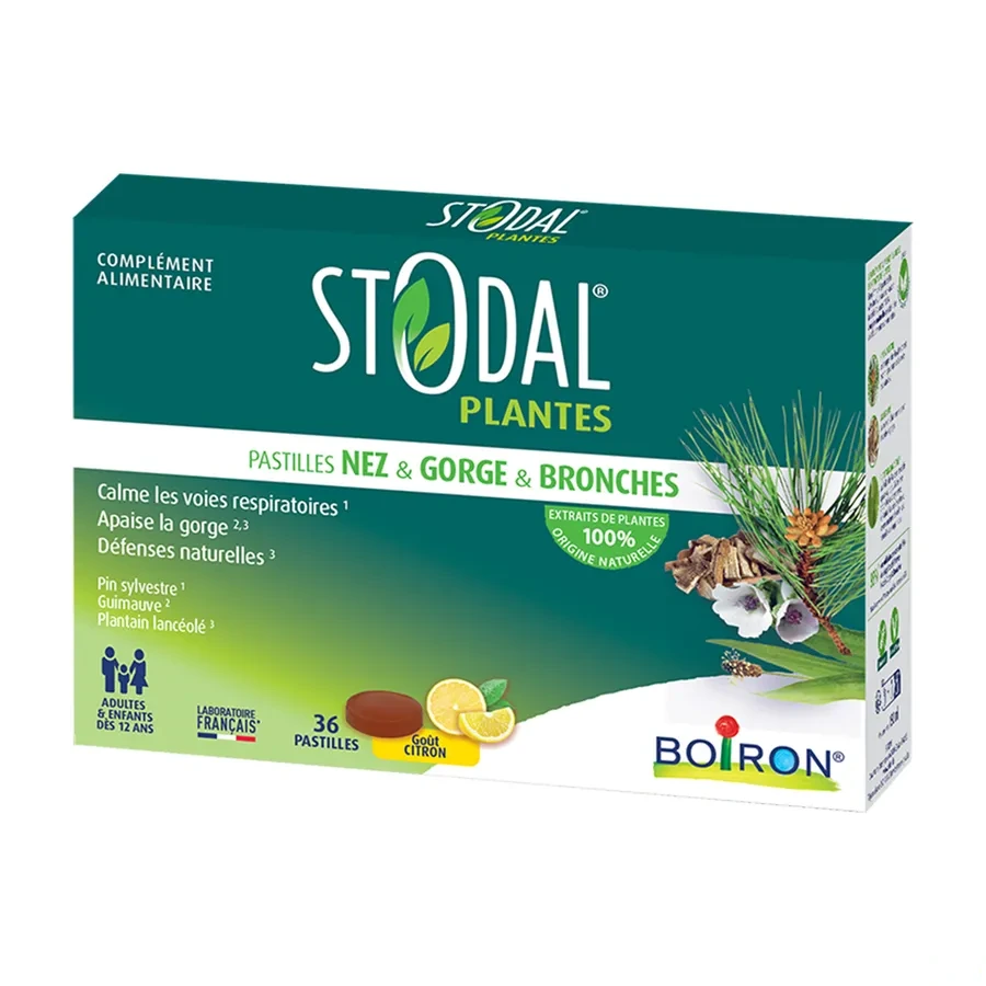 Stodal Plantes Nez Gorge Bronches