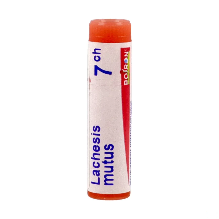Boiron Lachesis mutus dose