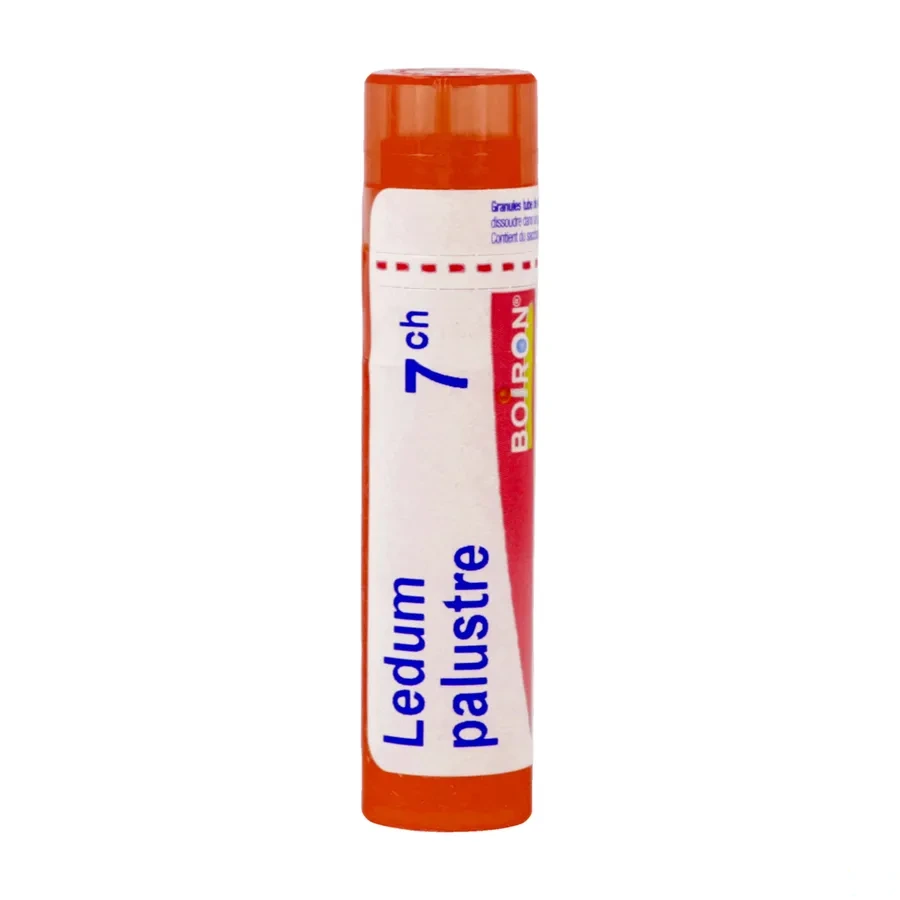 Boiron Ledum palustre granules