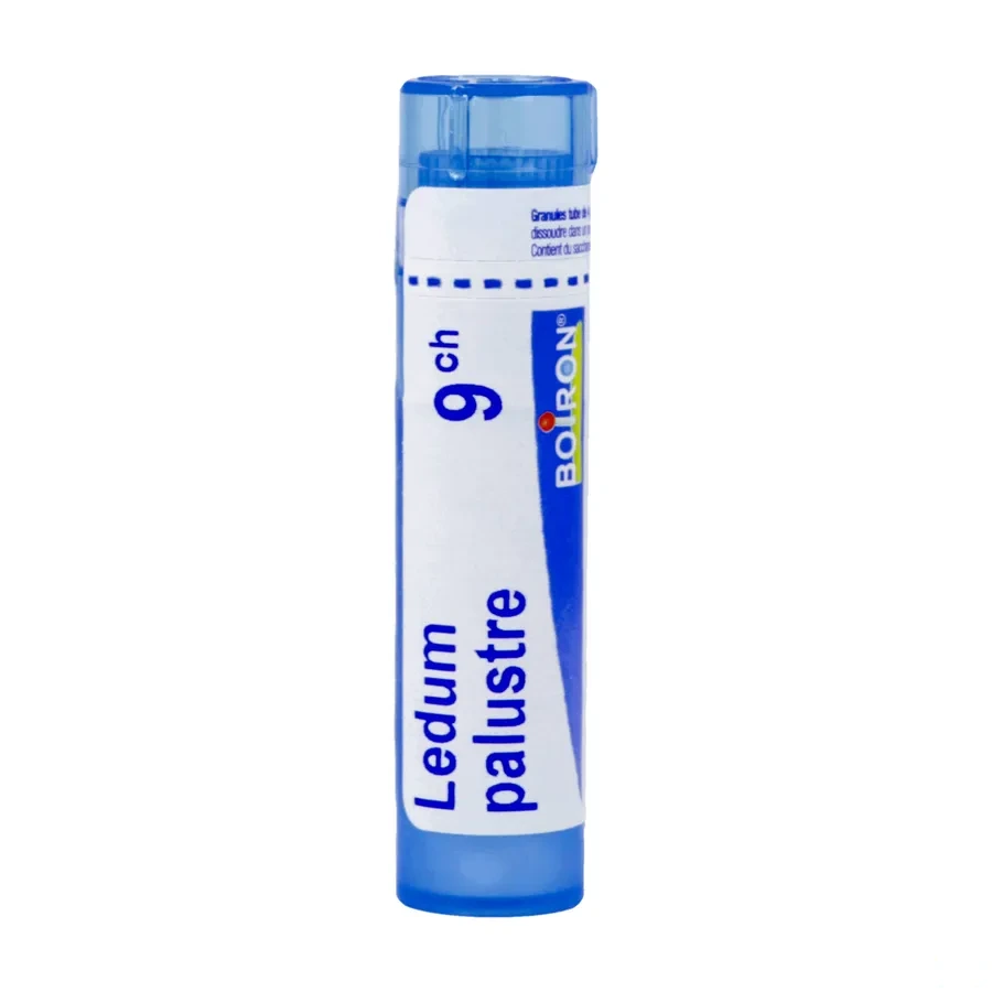 Boiron Ledum palustre granules