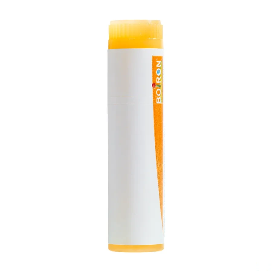 Boiron Influenzinum Dose
