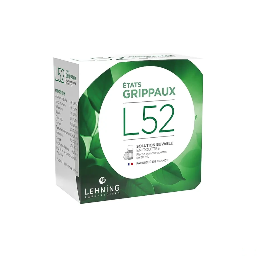 Lehning L52 Etats Grippaux