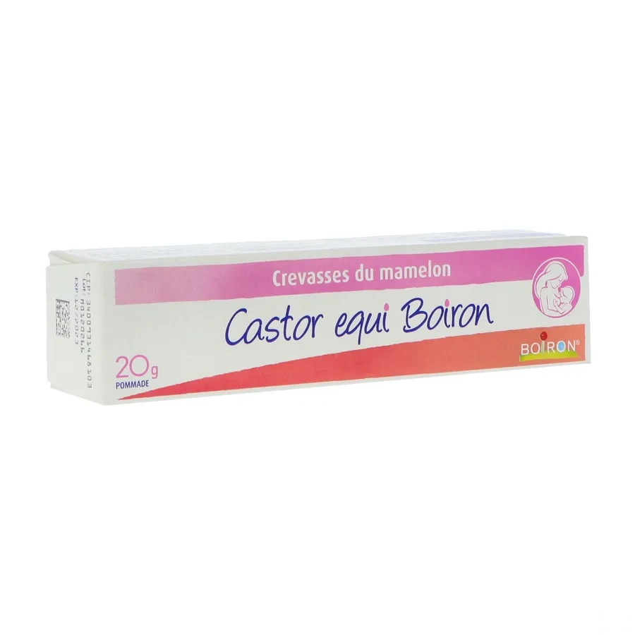 Castor equi Crevasses du Mamelon