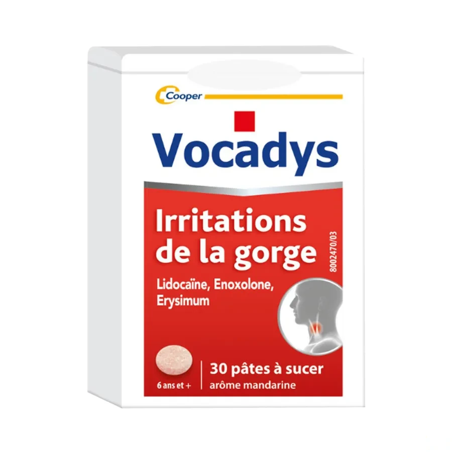 Vocadys Pâtes à Sucer Irritations de la Gorge