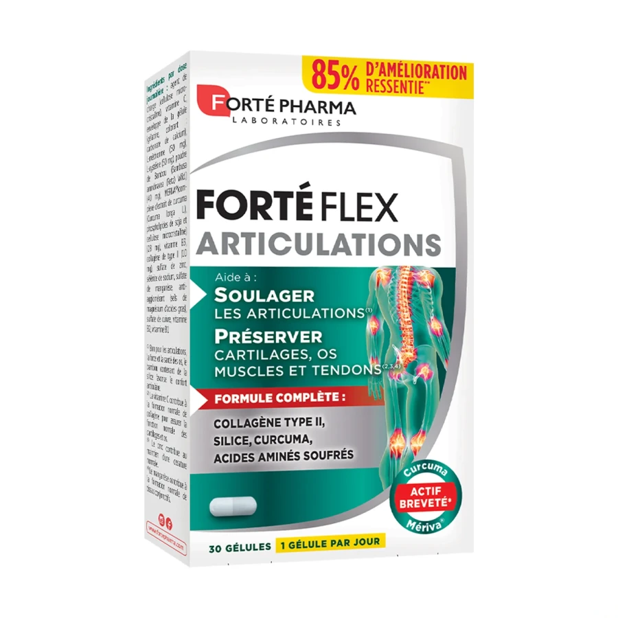 Forté Flex Articulations