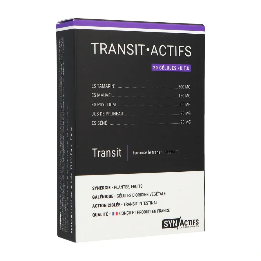 Synactifs Transit Actifs