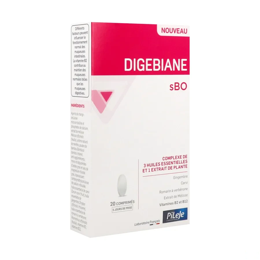 Pileje Digebiane sBO