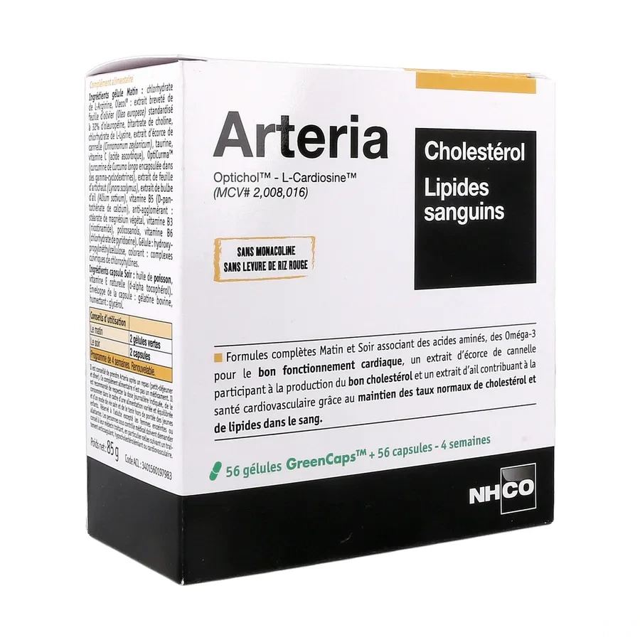Arteria Cholestérol