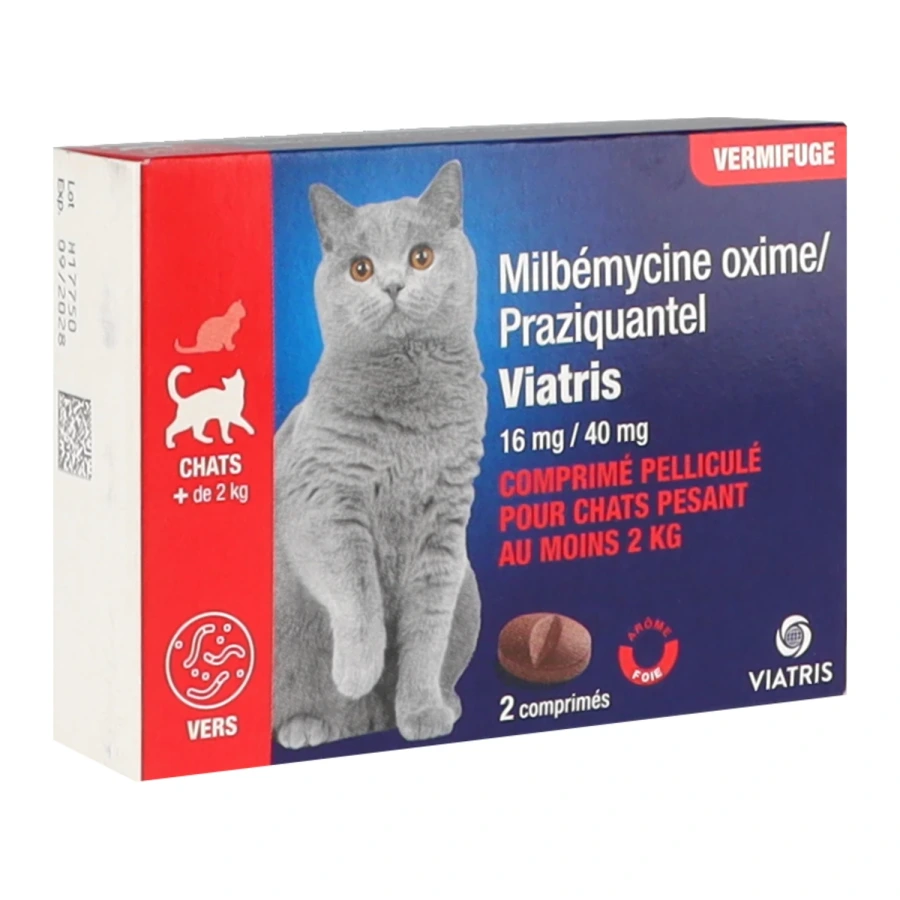 Milbémycine Oxime Praziquantel