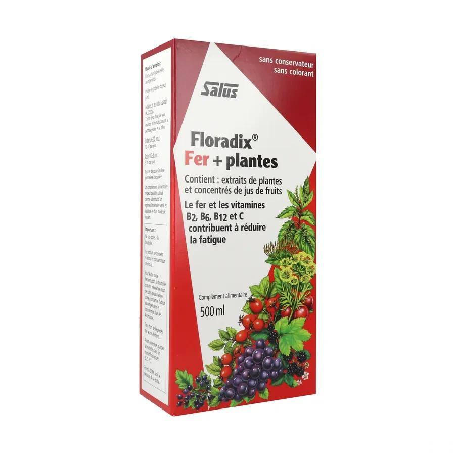 Floradix Fer + Plantes