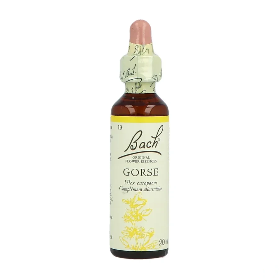 Fleurs de Bach Gorse n°13