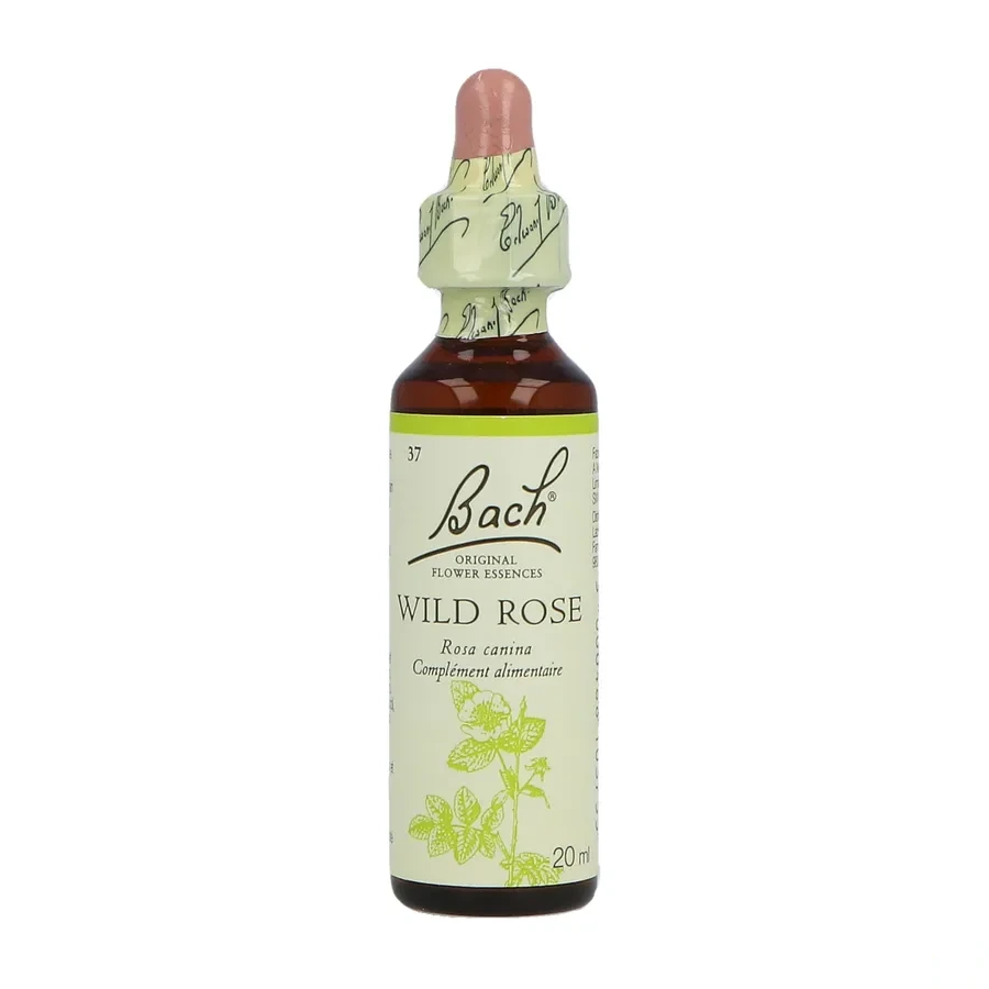 Fleurs de Bach Wild Rose n°37