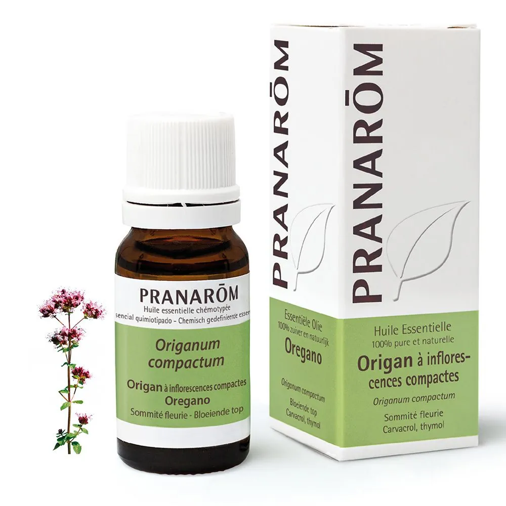 Pranarom huile essentielle Origan à inflorescences compactes