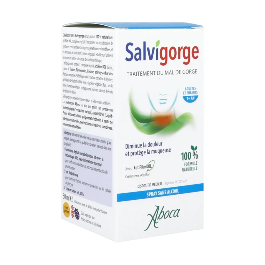 Salvigorge